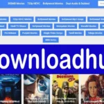 Download Hub